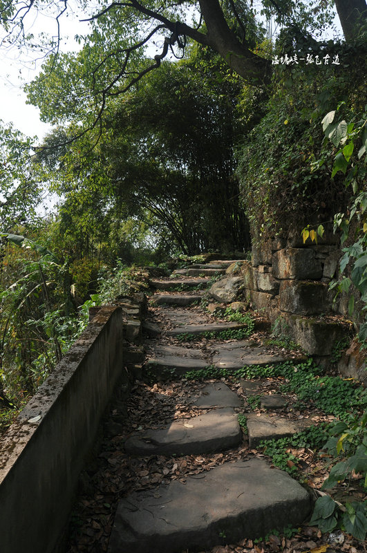 北碚温塘峡张飞古道-解密嘉陵煤矿生活区民国历史
