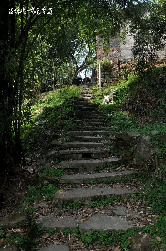 北碚温塘峡张飞古道-解密嘉陵煤矿生活区民国历史
