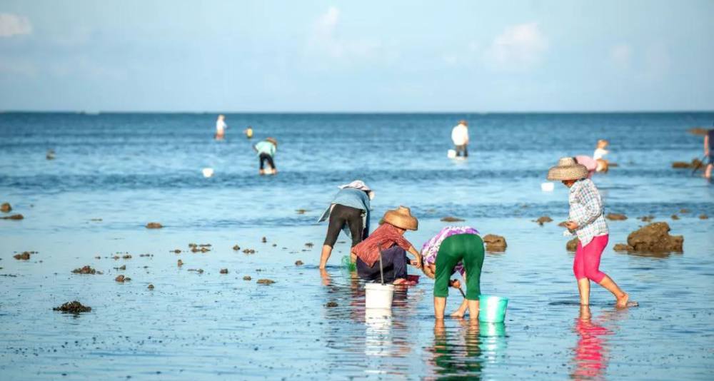 春节活动31赶海出海海鲜大餐山古渔村京族三岛边城东兴德天跨国