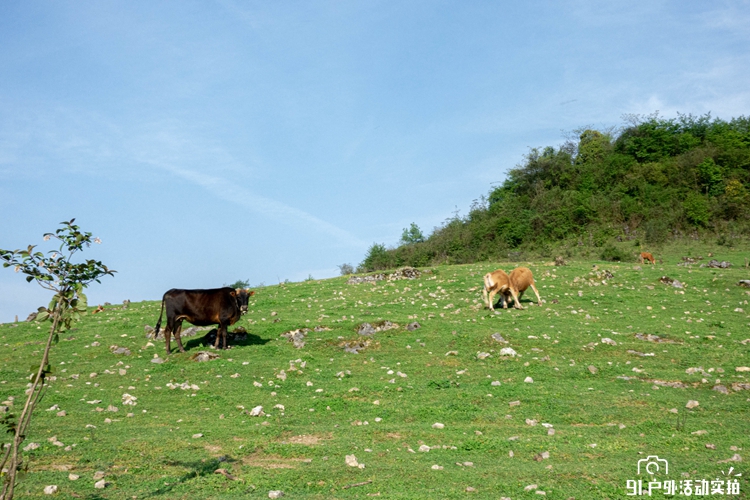 20200503-DSC02281