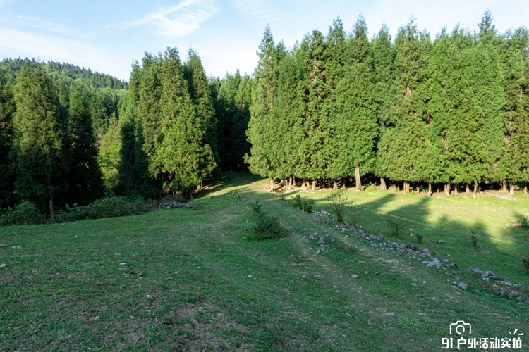 20200503-DSC02287