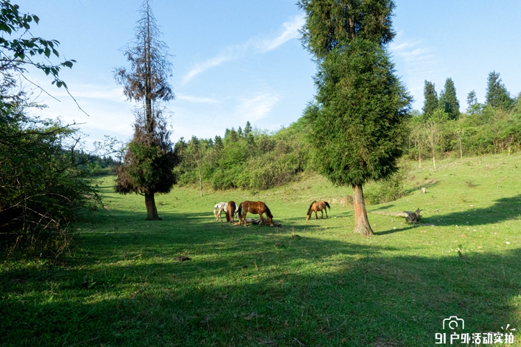 20200503-DSC02293