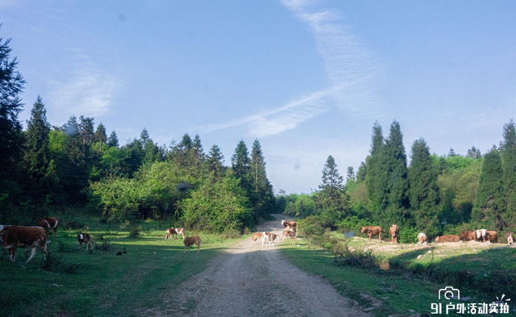 20200503-DSC02288-2-1