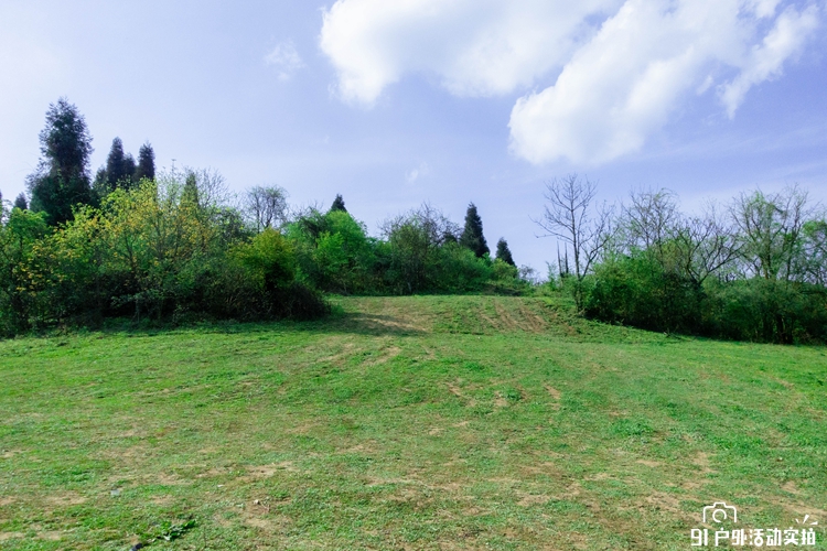 20200503-DSC02256