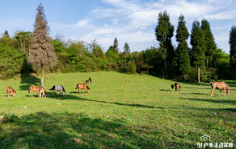20200503-DSC02291-3