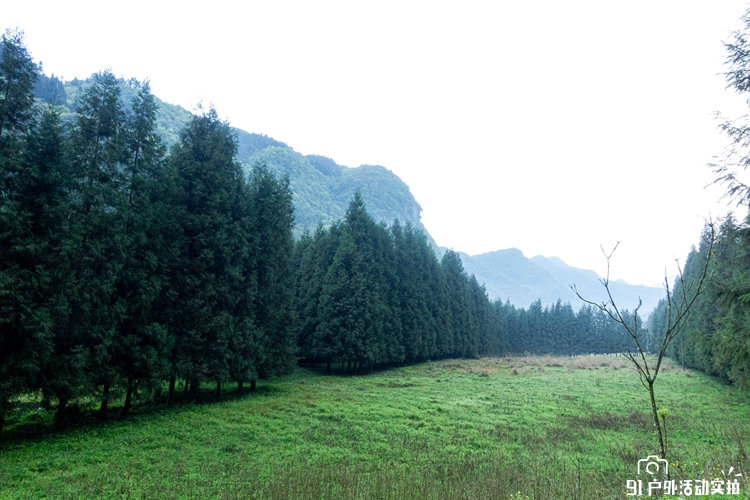 20200504-DSC02303