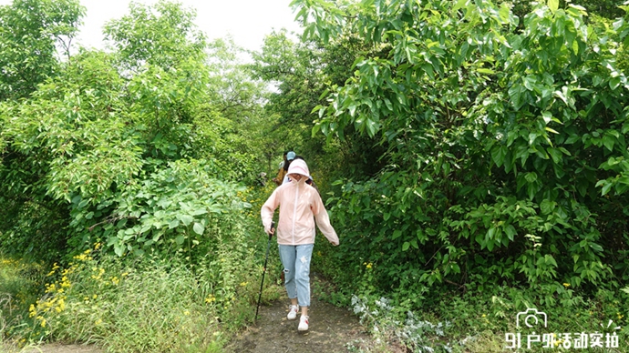 DSC01973