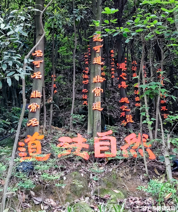 微信图片_20210419222612