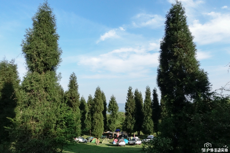 DSC02286