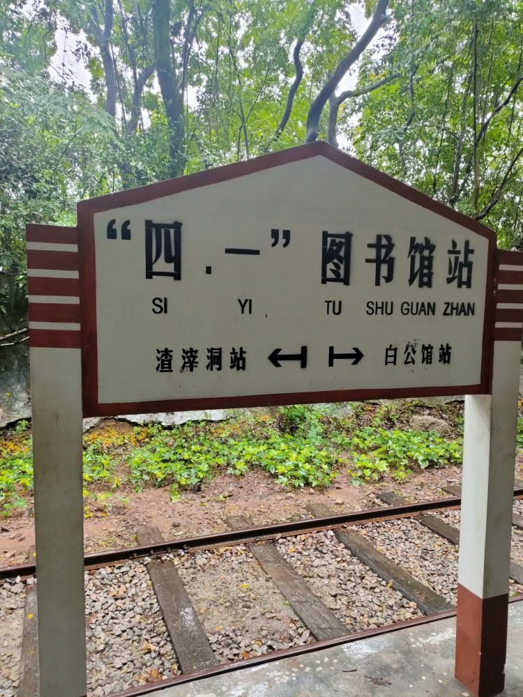 d1 (1)