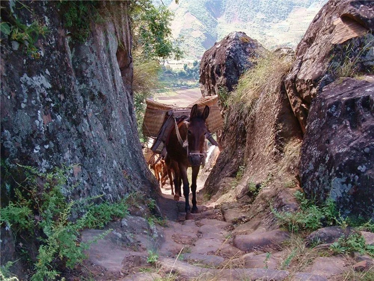 【五一】4.29-5.3 云南纳西·秘境徒步、茶马古道、千年白族村、去有风的地方