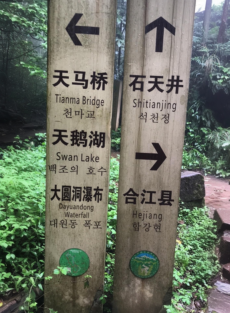 prui01_32279__--ar_5980_--v_7_7430d157-0a14-4003-9e9e-2ad654