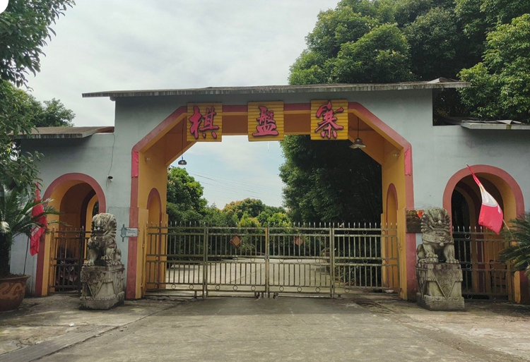 midjourney-editor-1762858153754 midjourney-editor-1762858153754