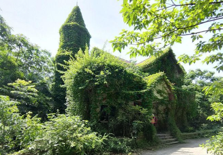 prui01_32279__--ar_8257_--stylize_150_--v_7_4f2492c8-dc03-4e prui01_32279__--ar_8257_--stylize_150_--v_7_4f2492c8-dc03-4e