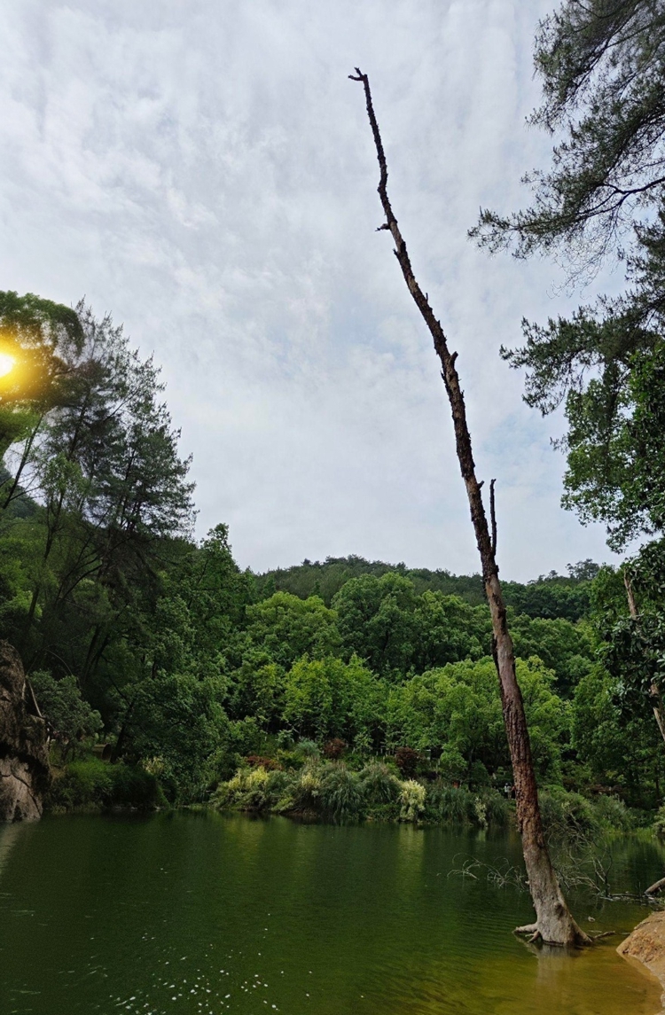 prui01_32279__--ar_5584_--profile_tef5xr9_--v_7_5107ca44-b21 prui01_32279__--ar_5584_--profile_tef5xr9_--v_7_5107ca44-b21