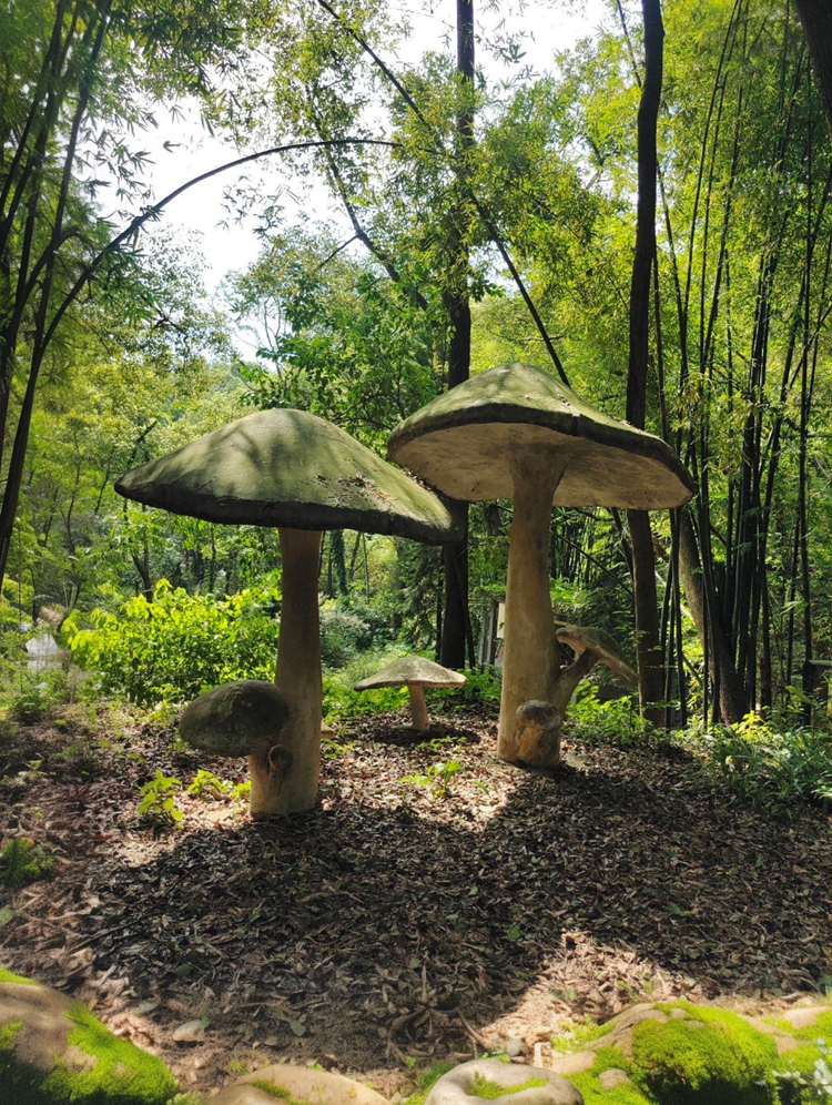 prui01_32279__--ar_5877_--stylize_150_--v_7_5f904c30-fda8-4f prui01_32279__--ar_5877_--stylize_150_--v_7_5f904c30-fda8-4f