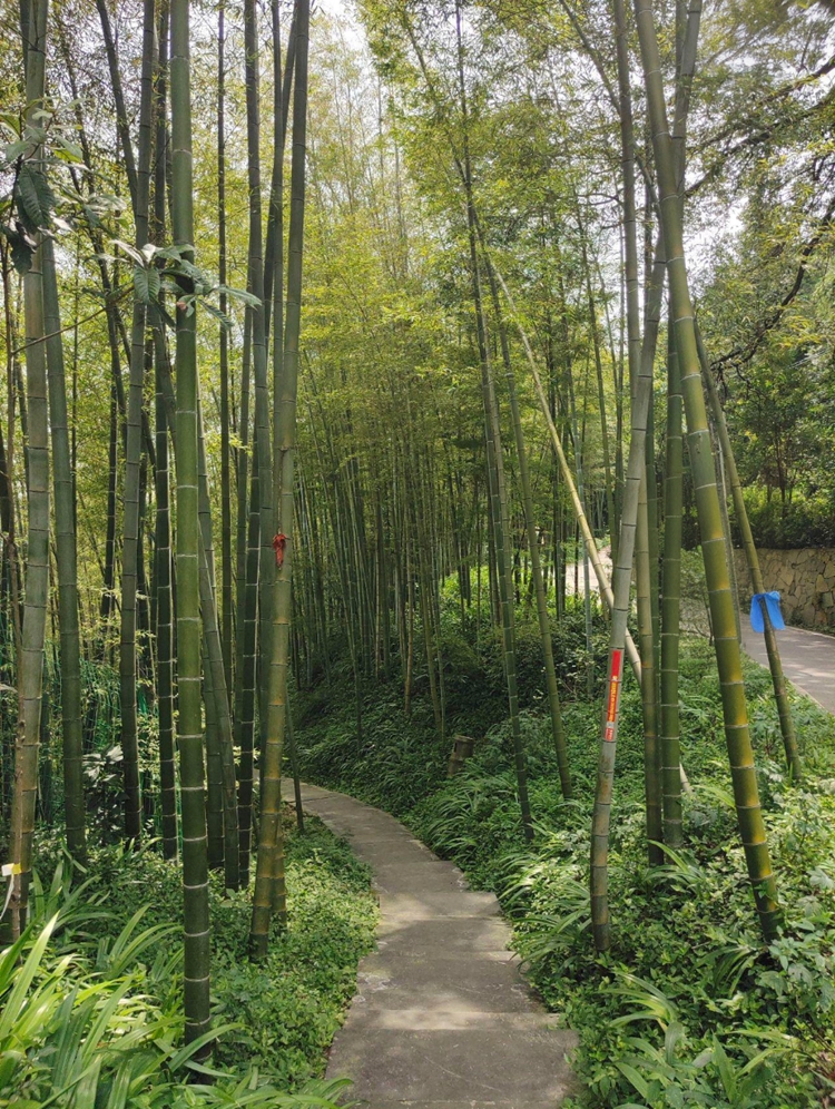 prui01_32279__--ar_5877_--profile_tef5xr9_--v_7_fddd0ffa-94e prui01_32279__--ar_5877_--profile_tef5xr9_--v_7_fddd0ffa-94e