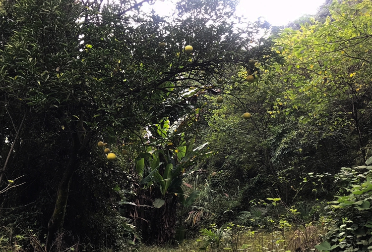 2021_10_30_14_21_IMG_0182 2021_10_30_14_21_IMG_0182