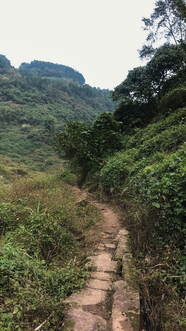 2021_10_30_13_45_IMG_0170 2021_10_30_13_45_IMG_0170