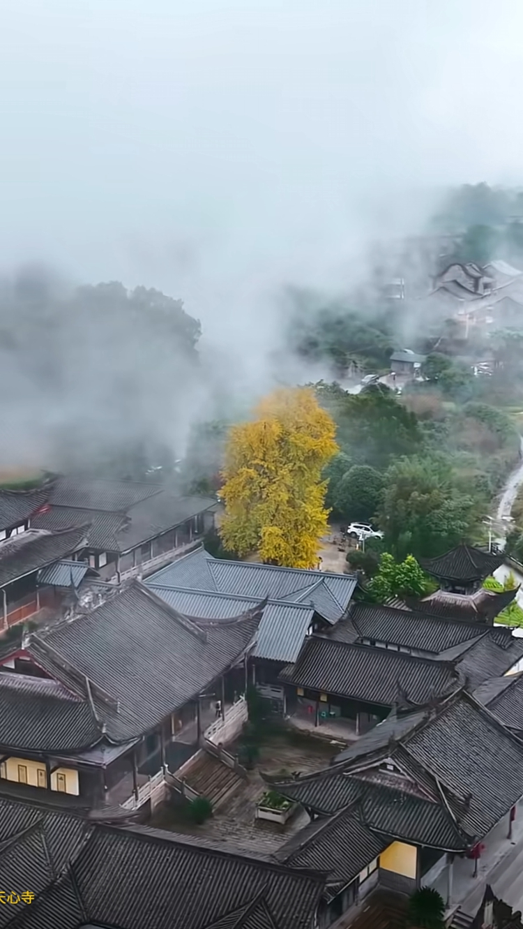 ScreenShot_2025-11-18_165817_963.png @拾光重庆 ScreenShot_2025-11-18_165817_963.png @拾光重庆