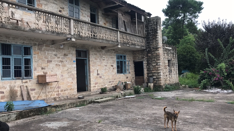 2021_08_07_12_01_IMG_8381 2021_08_07_12_01_IMG_8381