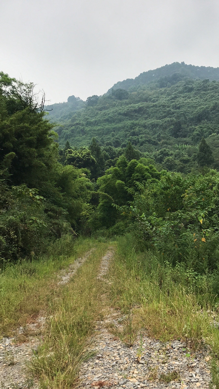 2021_08_07_14_32_IMG_8385 2021_08_07_14_32_IMG_8385