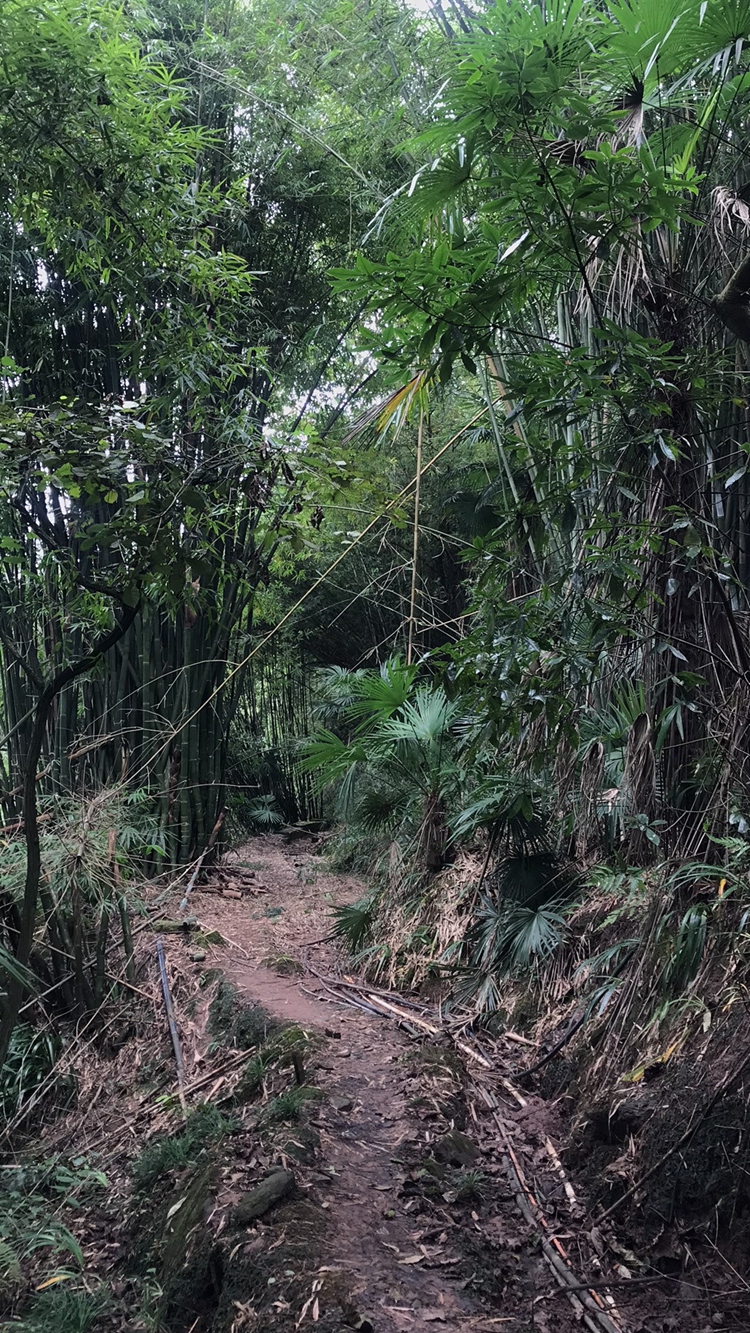 2021_10_30_14_05_IMG_0177 2021_10_30_14_05_IMG_0177