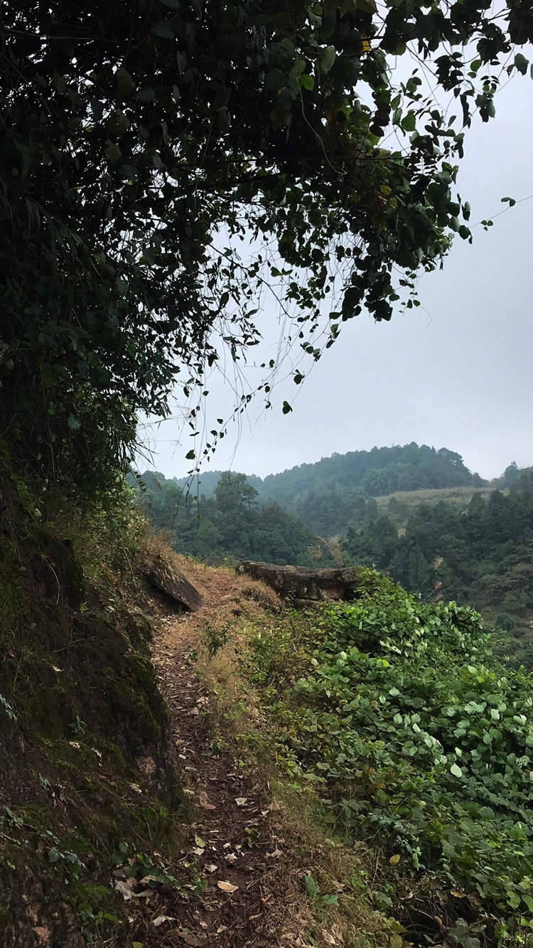 2021_10_30_12_45_IMG_0157 2021_10_30_12_45_IMG_0157