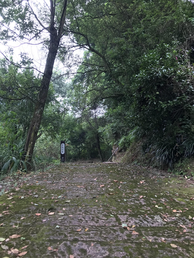 2021_08_07_16_23_IMG_8397