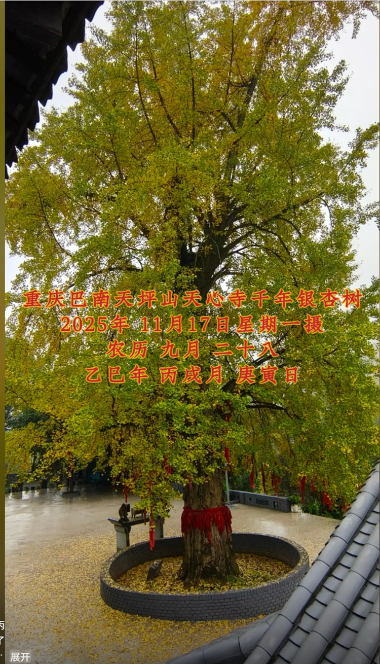 ScreenShot_2025-11-18_165710_995.png@鹿目圆 ScreenShot_2025-11-18_165710_995.png@鹿目圆