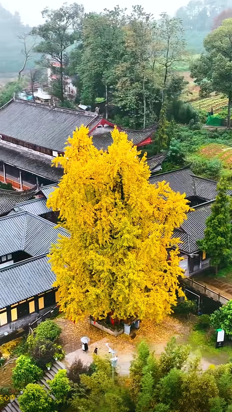 wechat_2025-11-18_170004_364 wechat_2025-11-18_170004_364