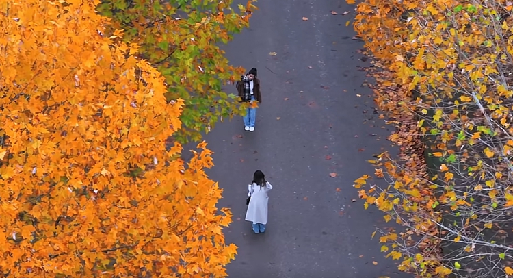 ScreenShot_2025-11-25_204934_309 ScreenShot_2025-11-25_204934_309