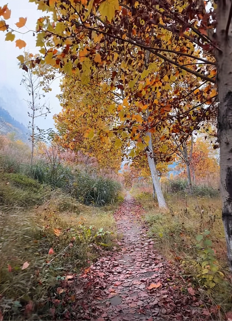 prui01_32279_httpss.mj.runBRyeX-8lTfU__--ar_2940_--stylize_1 prui01_32279_httpss.mj.runBRyeX-8lTfU__--ar_2940_--stylize_1