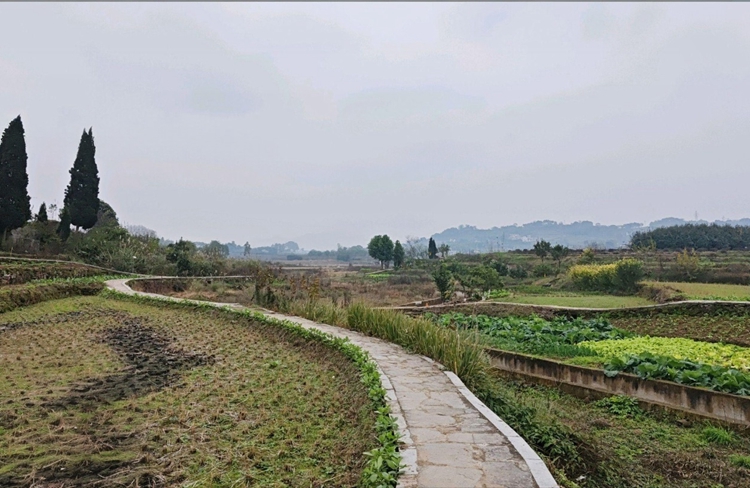 prui01_32279_httpss.mj.runq-pt0XZ59YU__--ar_9151_--stylize_1 prui01_32279_httpss.mj.runq-pt0XZ59YU__--ar_9151_--stylize_1