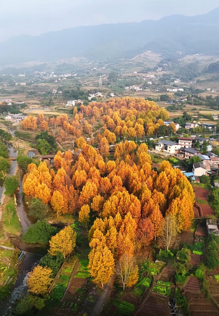 prui01_32279_httpss.mj.runbfuAqb9Xa3c__--ar_5782_--stylize_1 prui01_32279_httpss.mj.runbfuAqb9Xa3c__--ar_5782_--stylize_1