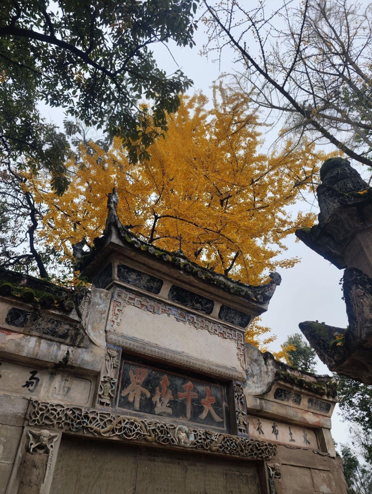 prui01_32279_httpss.mj.runf-aLfWfzsIA__--ar_5877_--stylize_1 prui01_32279_httpss.mj.runf-aLfWfzsIA__--ar_5877_--stylize_1