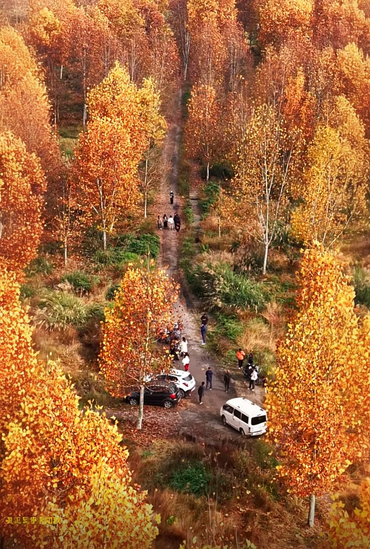 prui01_32279_httpss.mj.runHWMqKXKfXzg__--ar_5683_--stylize_1 prui01_32279_httpss.mj.runHWMqKXKfXzg__--ar_5683_--stylize_1