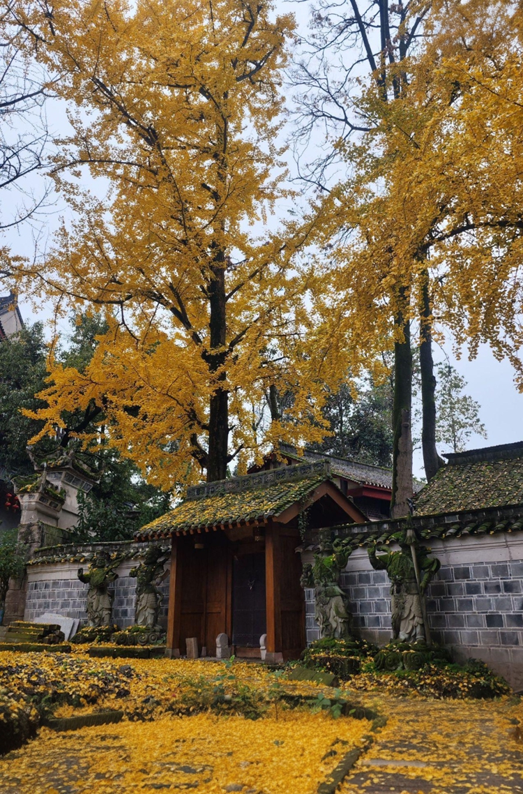 prui01_32279__--ar_5685_--stylize_150_--v_7_d464d4f1-bc27-4f prui01_32279__--ar_5685_--stylize_150_--v_7_d464d4f1-bc27-4f