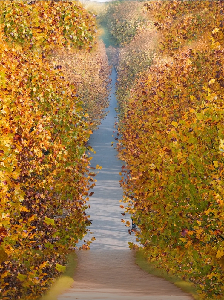 prui01_32279__--ar_5979_--stylize_150_--v_7_b76440bf-4dfb-47 prui01_32279__--ar_5979_--stylize_150_--v_7_b76440bf-4dfb-47