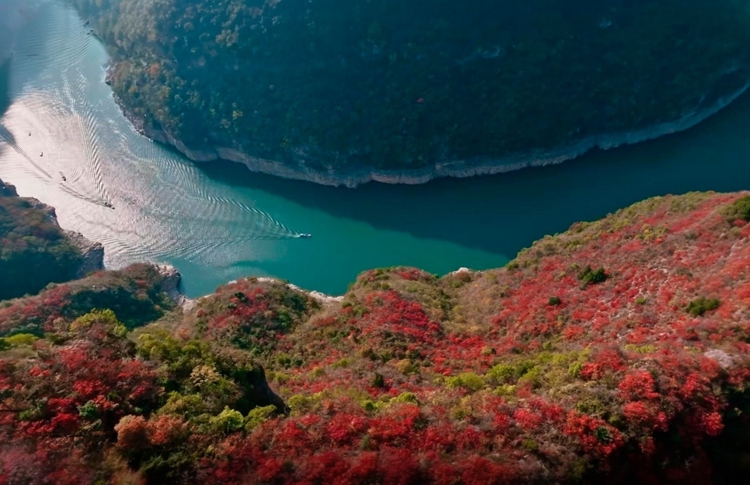 prui01_32279__--ar_1711_--stylize_150_--v_7_2b6091bb-6232-49