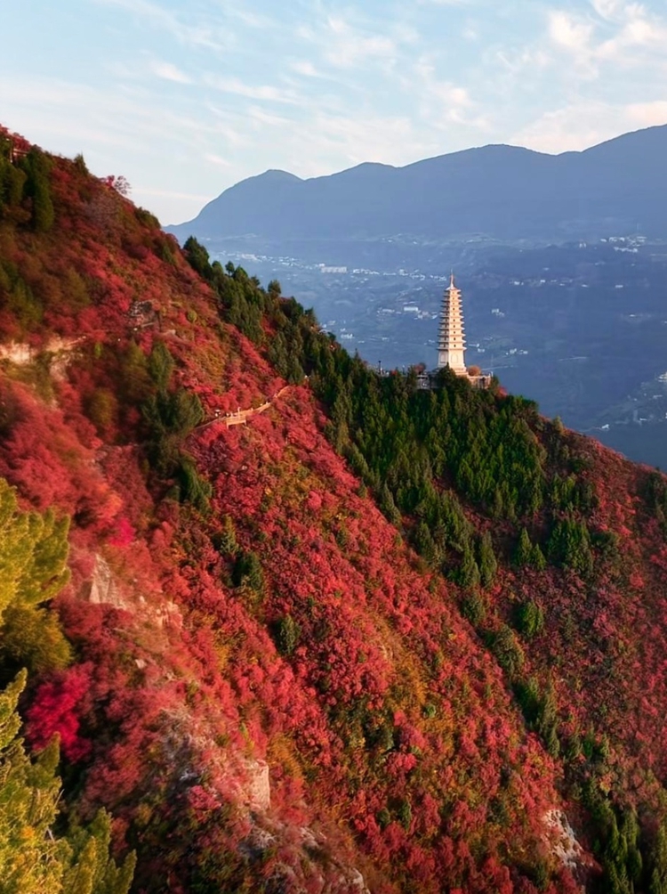 prui01_32279__--ar_5979_--stylize_150_--v_7_cc0525fe-d5c3-49