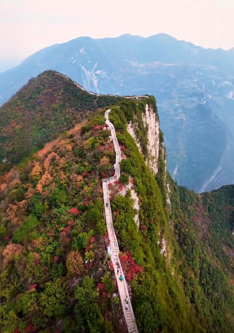 prui01_32279__--ar_1927_--stylize_150_--v_7_b37f42d9-8a0f-4d