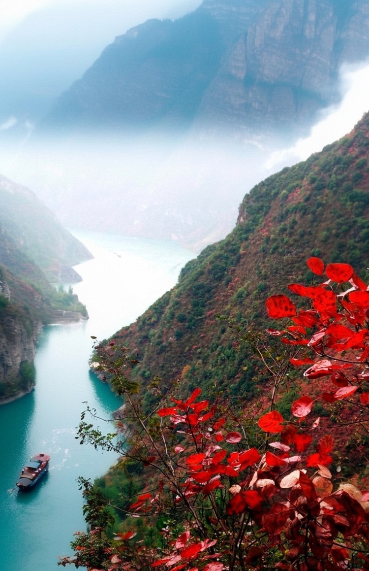 prui01_32279__--ar_1117_--stylize_150_--v_7_1a37a44b-3d5a-4d