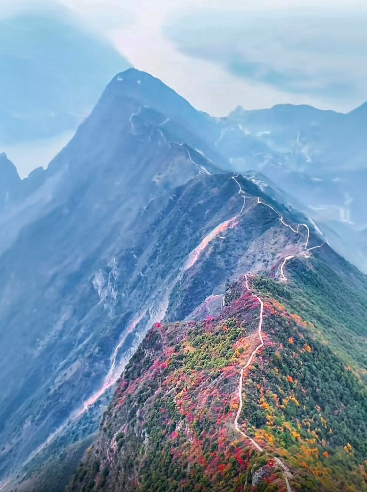 prui01_32279__--ar_5979_--stylize_150_--v_7_5a062d67-6ef7-4e