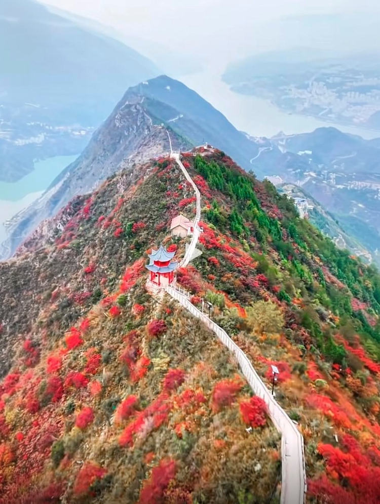 prui01_32279__--ar_5877_--stylize_150_--v_7_5608541a-9786-45