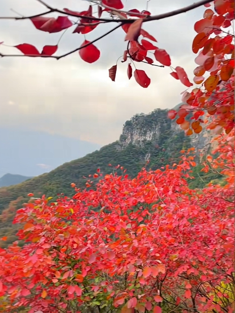 prui01_32279__--ar_5877_--stylize_150_--v_7_ef374ede-72f5-40