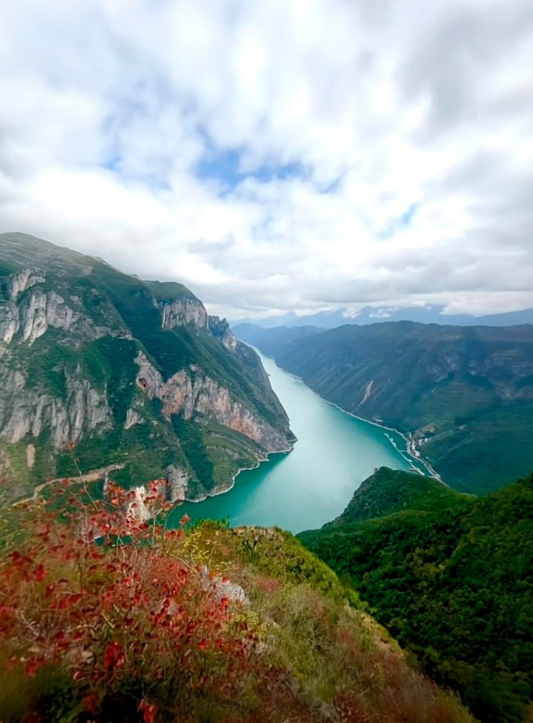 prui01_32279__--ar_5980_--stylize_150_--v_7_07fcafe4-db54-49