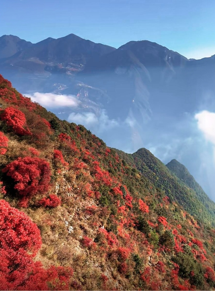 prui01_32279__--ar_5980_--stylize_150_--v_7_f5c343ac-b19b-43