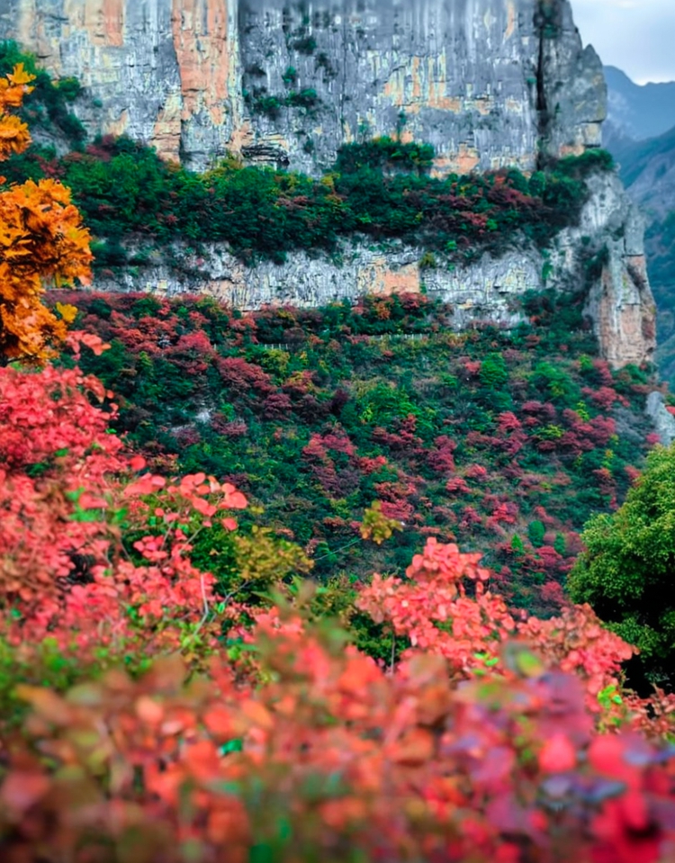 prui01_32279__--ar_6178_--stylize_150_--v_7_3d3a20fa-17a7-4f