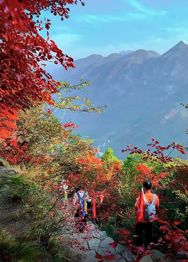 prui01_32279__--ar_5881_--stylize_150_--v_7_25b4762b-5523-43